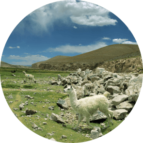 South America in numbers-cost of accommodation, transport and food