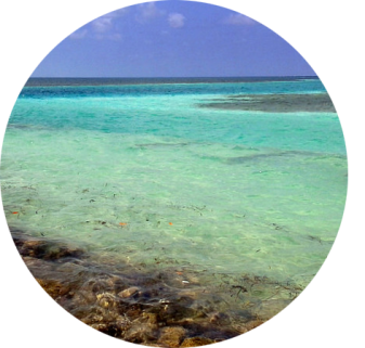 Where the time goes slow