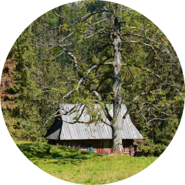 Getting to Kościeliska Valle in Tatra Mountains by public bus from Zakopane with timetable