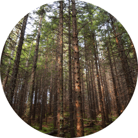 Visual trip around Tatra Mountains